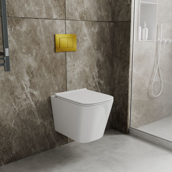 Комплект BAU 6 в 1: инсталляция BAU PRO, унитаз подвесной безободковый Bau Stil PRO, сиденье быстросъемное микролифт, клавиша BAU Stil, золото