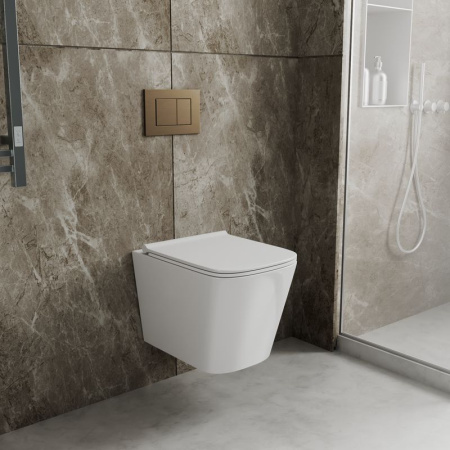 Комплект BAU 6 в 1: инсталляция BAU PRO, унитаз подвесной безободковый Bau Stil PRO, сиденье быстросъемное микролифт, клавиша BAU Stil, бронза